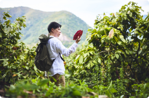 Searching for the finest cacao in Peru