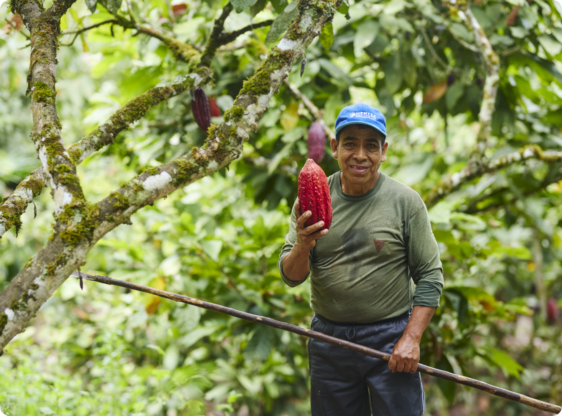 Cacao farmer in Peru