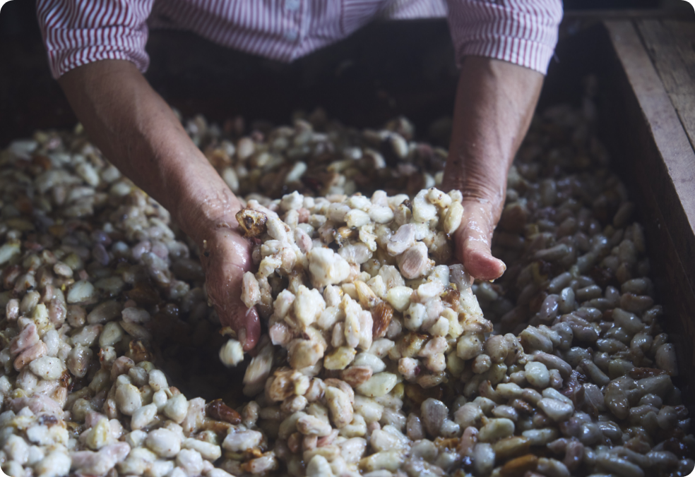 Harvest with Care